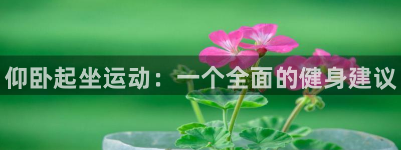 fb体育:仰卧起坐运动:一个全面的健身建议