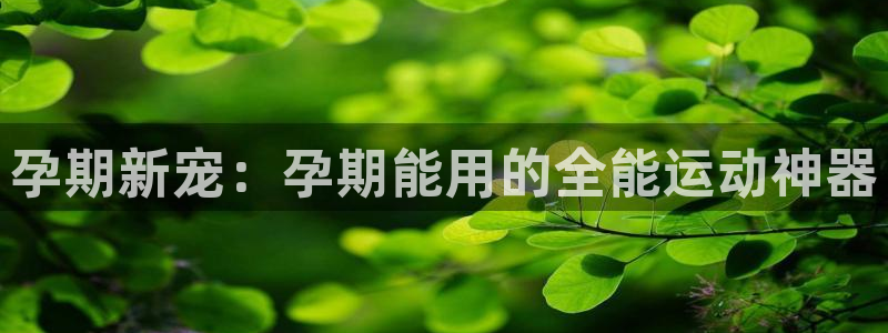 fb体育娱乐下载:孕期新宠:孕期能用的全能运动神器