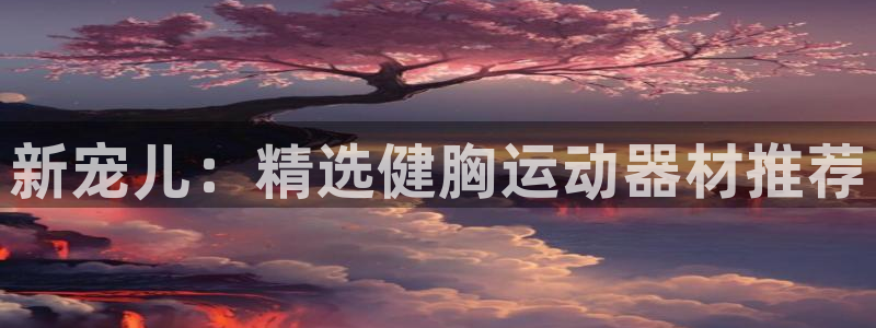 fb体育集团官网网址:新宠儿:精选健胸运动器材推荐